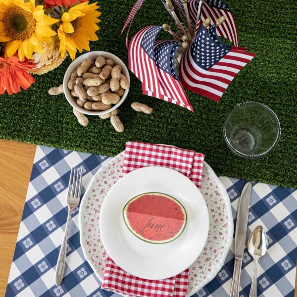 Hester & Cook Picnic Check Paper Placemats - Red/Blue
