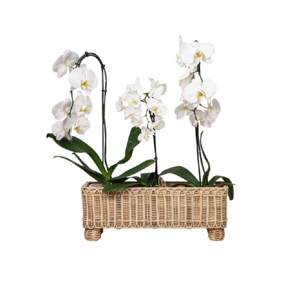Juliska Provence Rattan Rectangular Planter - Whitewash
