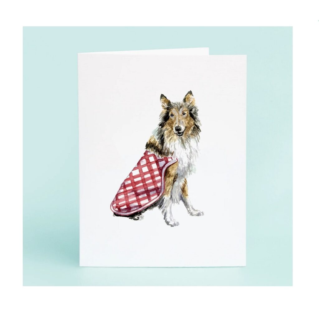 Rough Collie Boxed Greeting Card Set