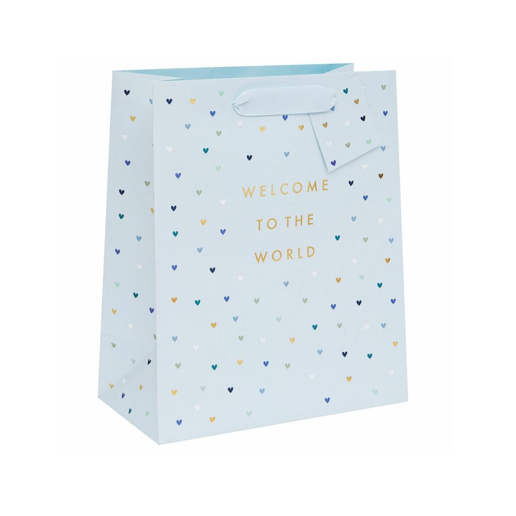 Welcome to the World Blue Gift Bags