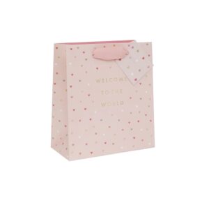 Welcome to the World Pink Gift Bags