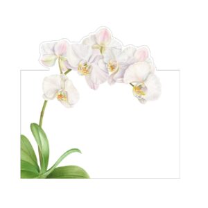 Caspari White Orchid Place Cards