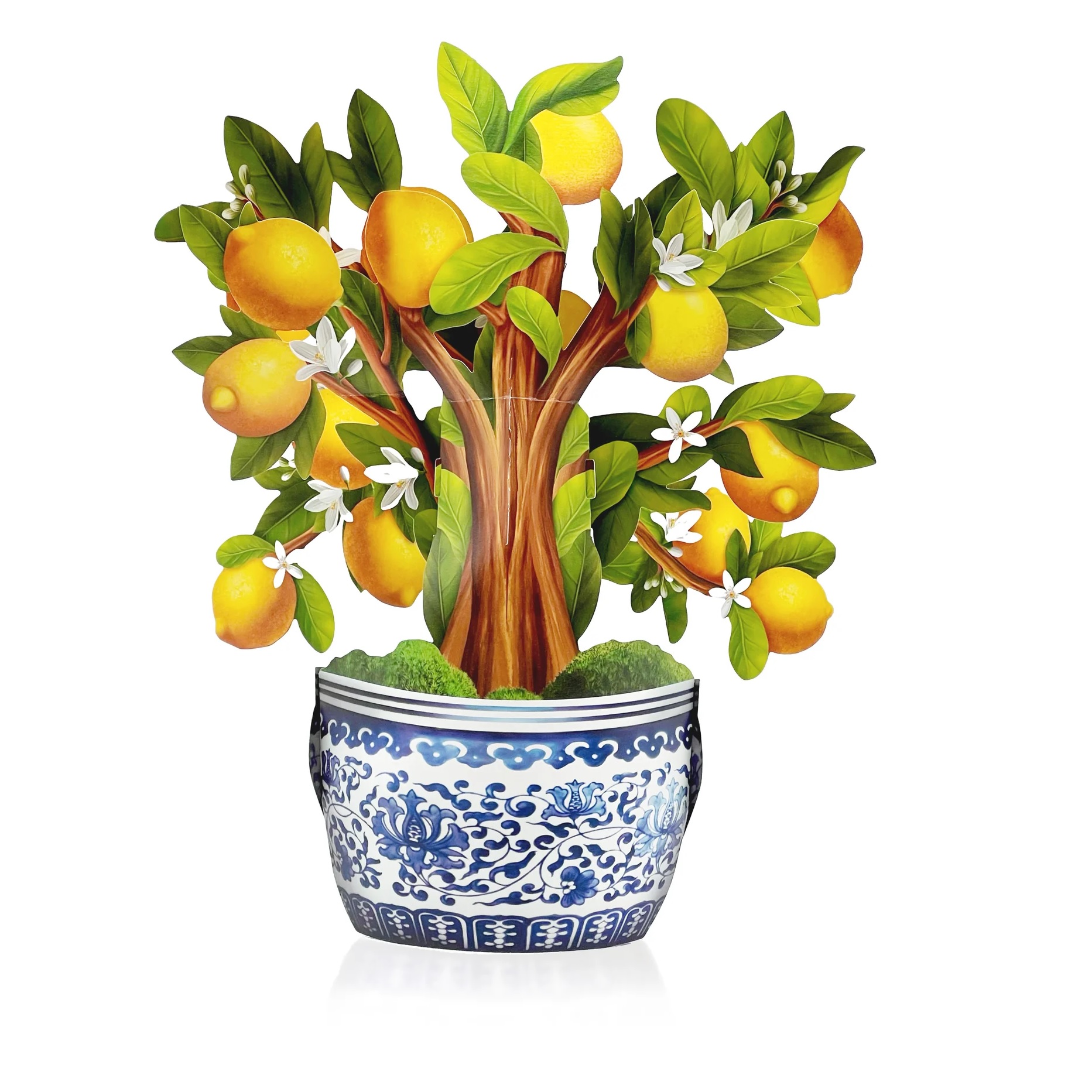Fresh Cut Paper Lemon Blossom Tree Pop-up Bouquet