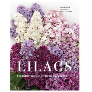 Lilacs: Beautiful Varieties for Home and Garden (Hardcover)