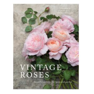 Vintage Roses: Beautiful Varieties for Home and Garden (Hardcover)