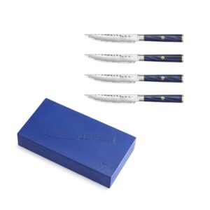 KITA Series 4-Piece Fine Edge Steak Knife Set, High Carbon X-7 Damascus Steel