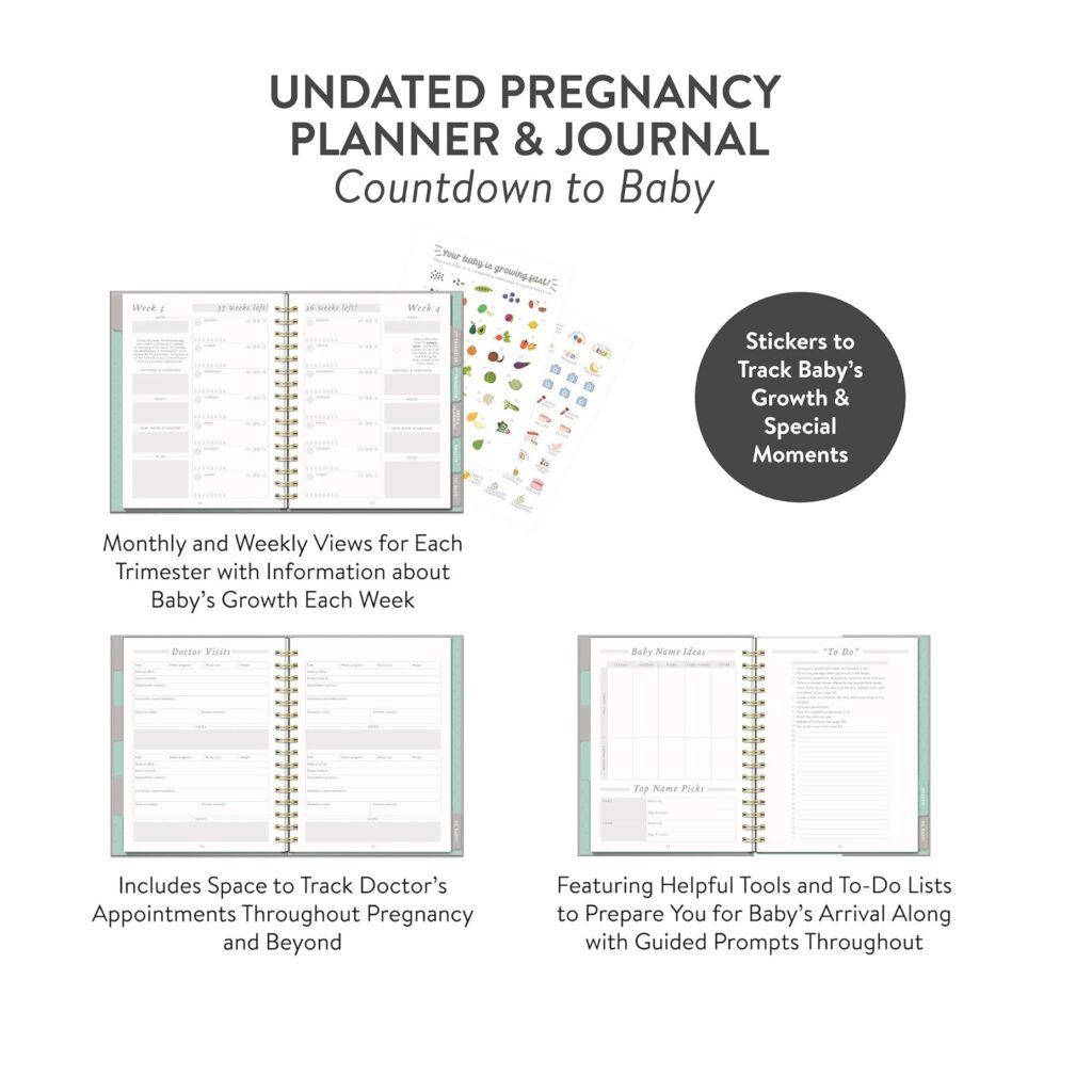 Studio Oh! Countdown to Baby Undated Pregnancy Planner & Journal