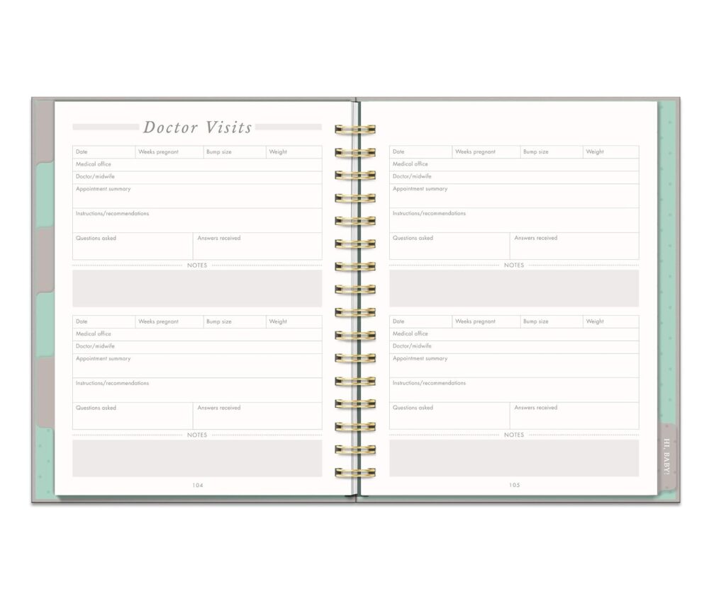 Studio Oh! Countdown to Baby Undated Pregnancy Planner & Journal