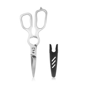 D Shape Forged Stainless Steel Shears, Satin Finish, 9-Inch