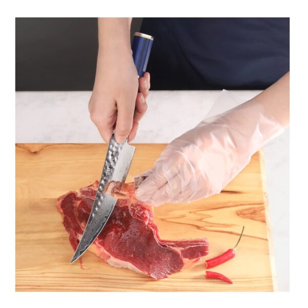 KITA Series 6-Inch Boning Knife with Sheath, High Carbon X-7 Damascus Steel