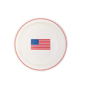 US Flag Paper Dinner Plates
