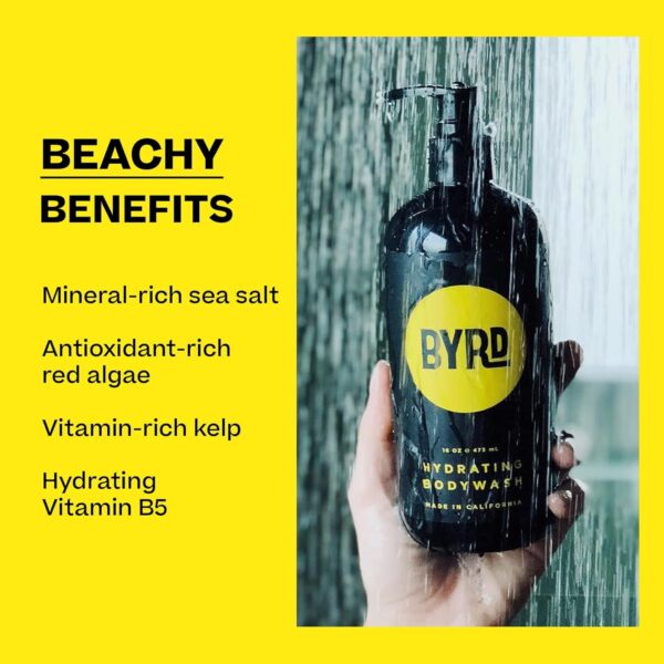 BYRD Hydrating Body Wash – Daily Sulfate-Free Body Cleanser, with Green Tea and Aloe Vera, 16 Fl Oz