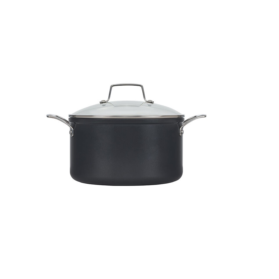 Le Creuset Essential Nonstick Ceramic Stockpot with Glass Lid