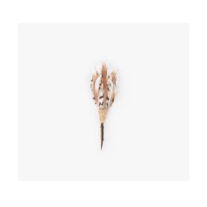 Brackish Cogdell Lapel Pin