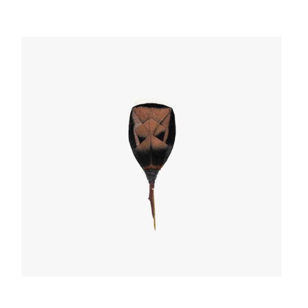 Brackish Lapel Pin - Donrail