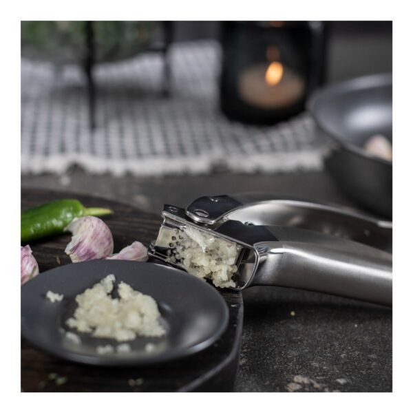 Kuhn Rikon Epicurean Garlic Press -Stainless Steel