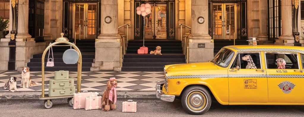 Gray Malin: Dogs (Hardcover)