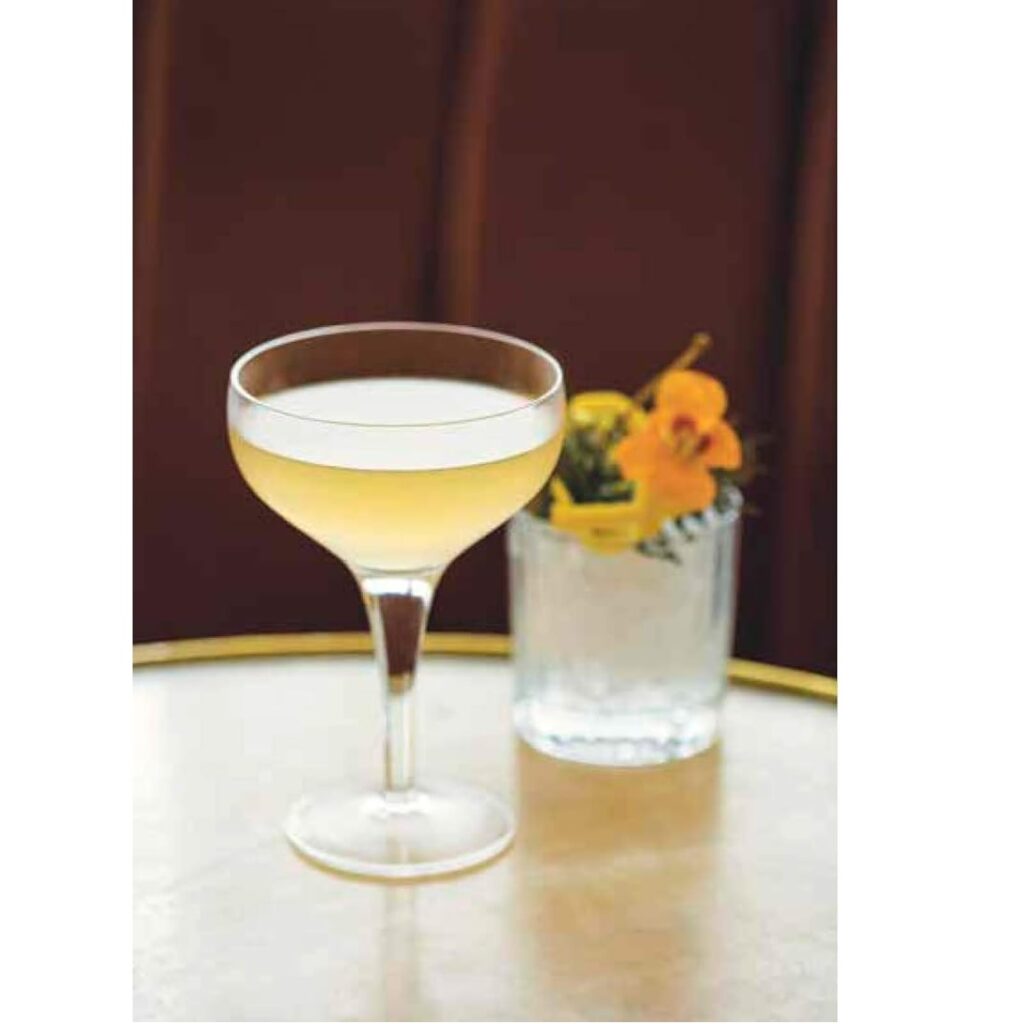 The Martini Cocktail: A Meditation on the World's Greatest Drink, with Recipes (Hardcover)