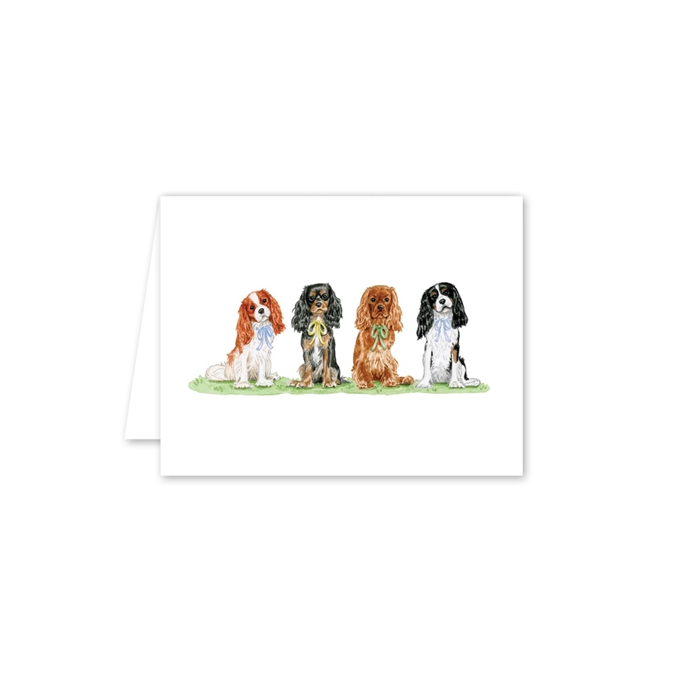Cavalier Garden Boxed Note Cards