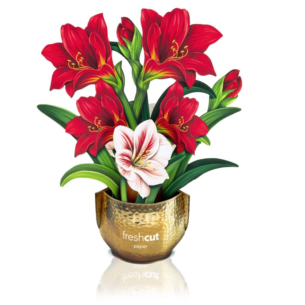 Paper Mini Mini Scarlet Amaryllis Bouquet Paper Mini Mini Scarlet Amaryllis Bouquet