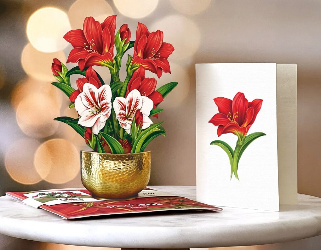 Paper Mini Mini Scarlet Amaryllis Bouquet