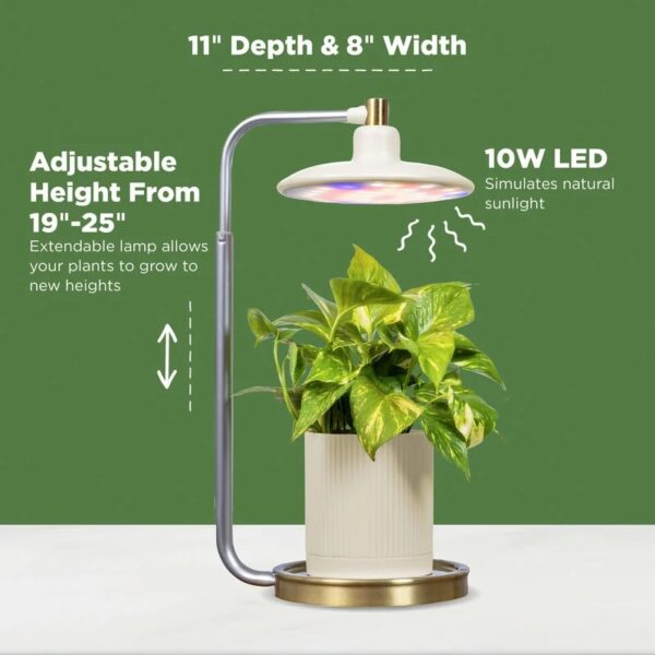 Tabletop Grow Light