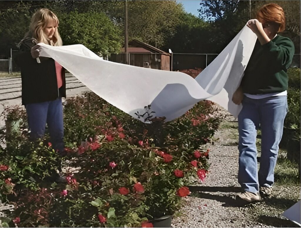 Dewitt Deluxe Winter Plant Protection Fabric, 6 x 50 ft