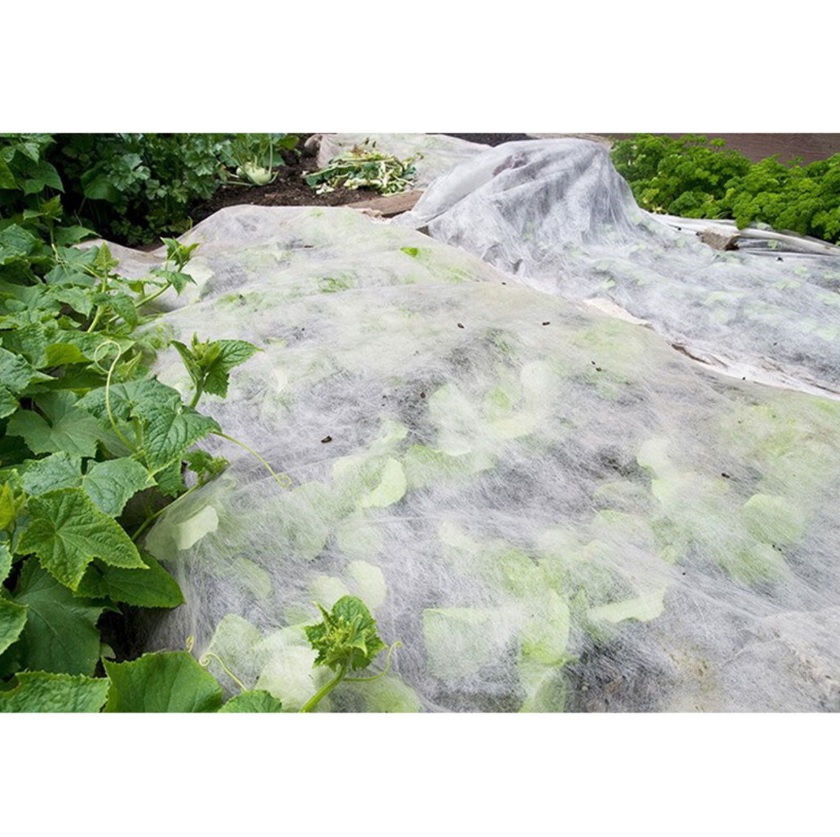 Harvest Guard Frost Protection Plant Bag - 8' X 6'