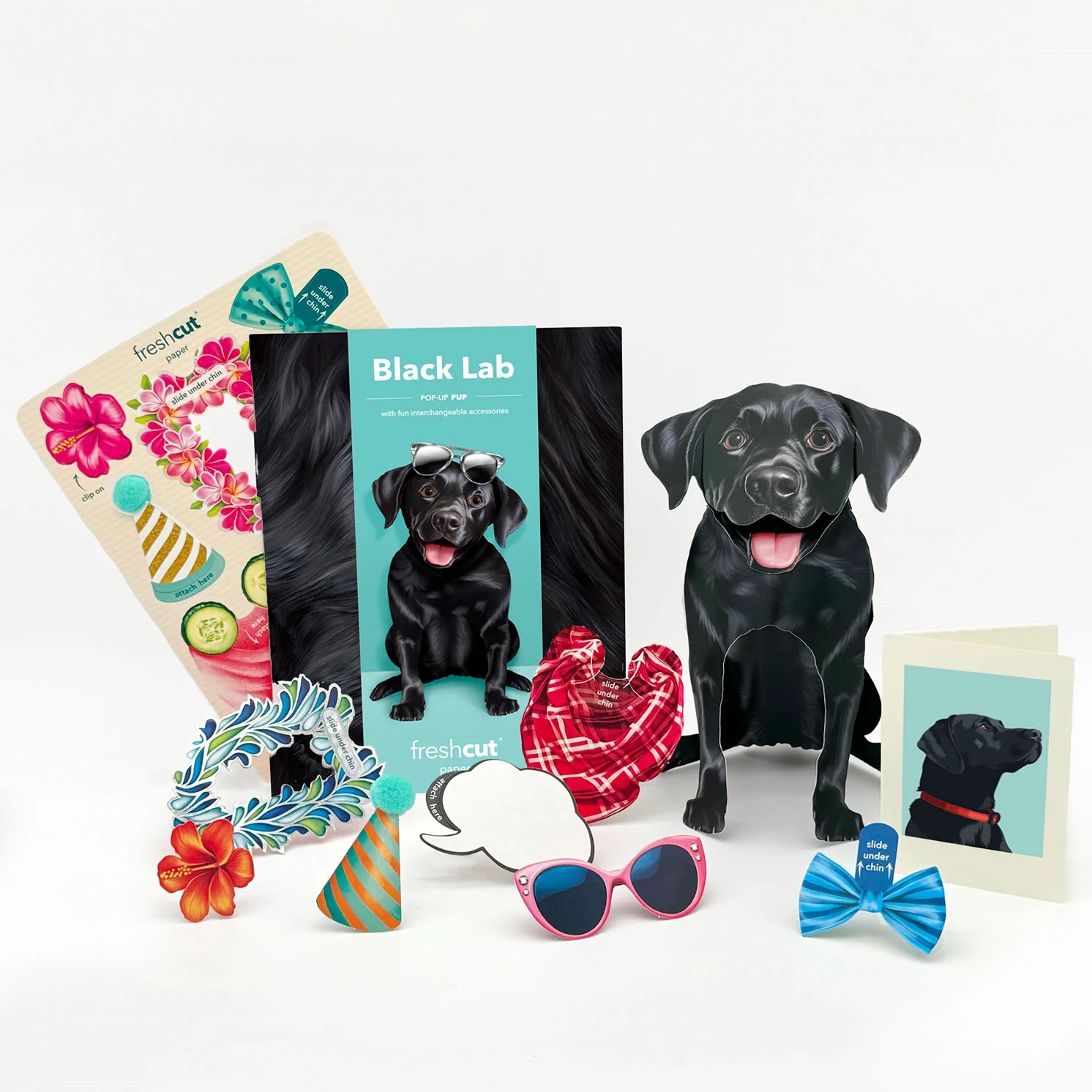 Black Lab Pop-Up Card Kit