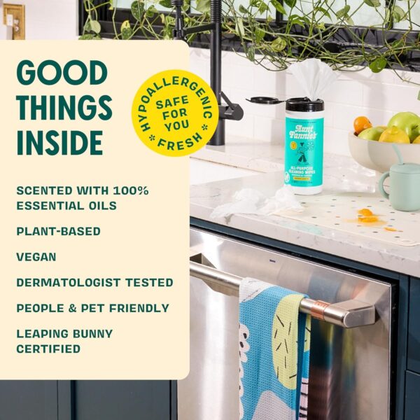 Aunt Fannie's Natural Cleaning Vinegar Wipes - Bright Lemon