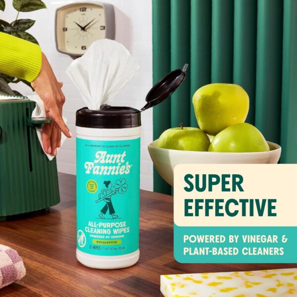 Aunt Fannie's Natural Cleaning Vinegar Wipes - Eucalyptus
