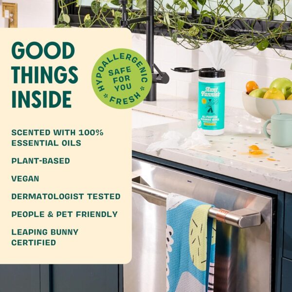 Aunt Fannie's Natural Cleaning Vinegar Wipes - Eucalyptus