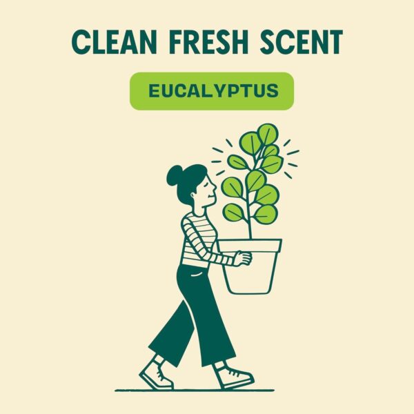 Aunt Fannie's Natural Cleaning Vinegar Wipes - Eucalyptus