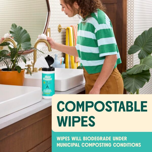 Aunt Fannie's Natural Cleaning Vinegar Wipes - Eucalyptus