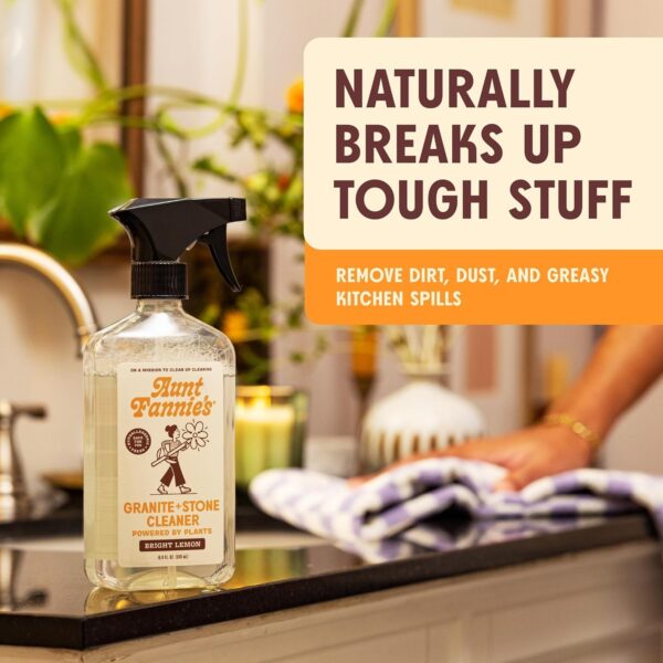 Aunt Fannie's Granite and Stone Cleaner