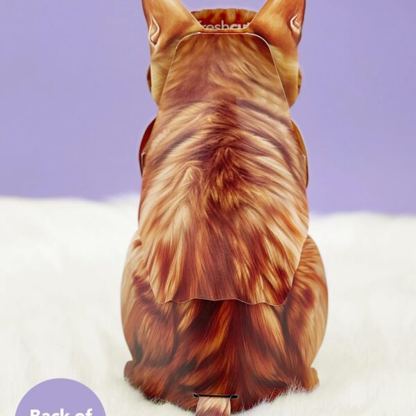 Orange Tabby Cat Pop-Up Card