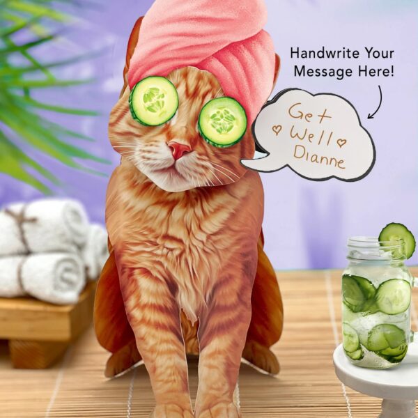 Orange Tabby Cat Pop-Up Card