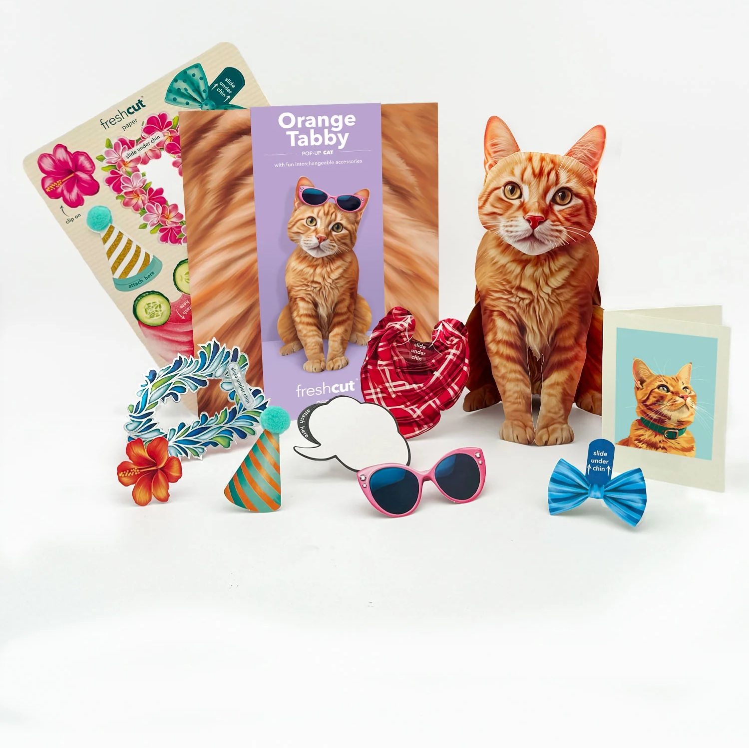 Orange Tabby Cat Pop-Up Card