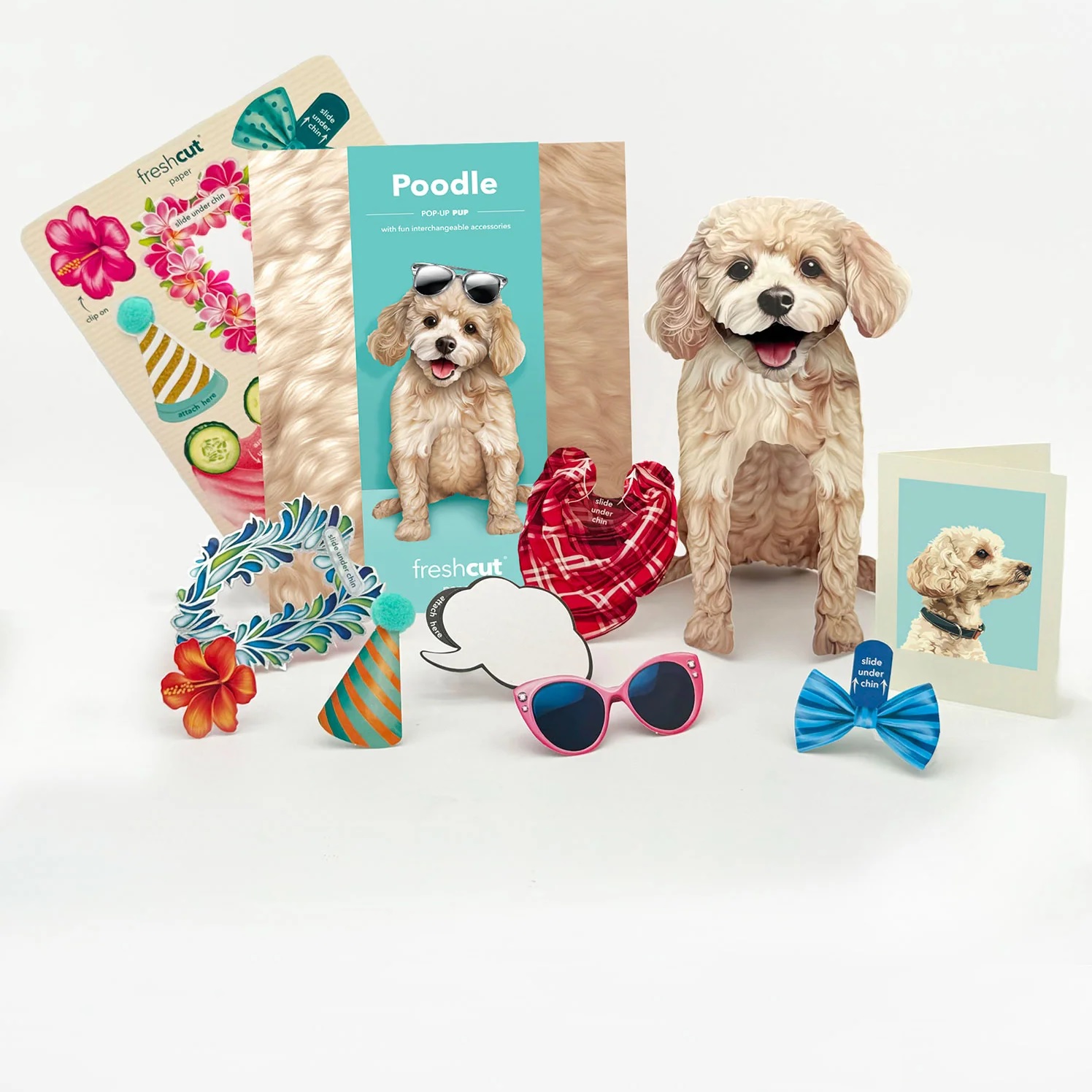 Poodle Pop-Up Card
