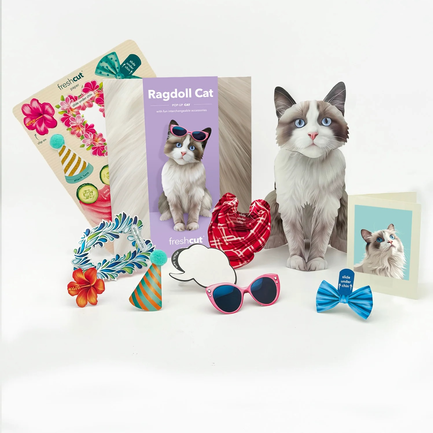 Ragdoll Cat Pop-Up Card