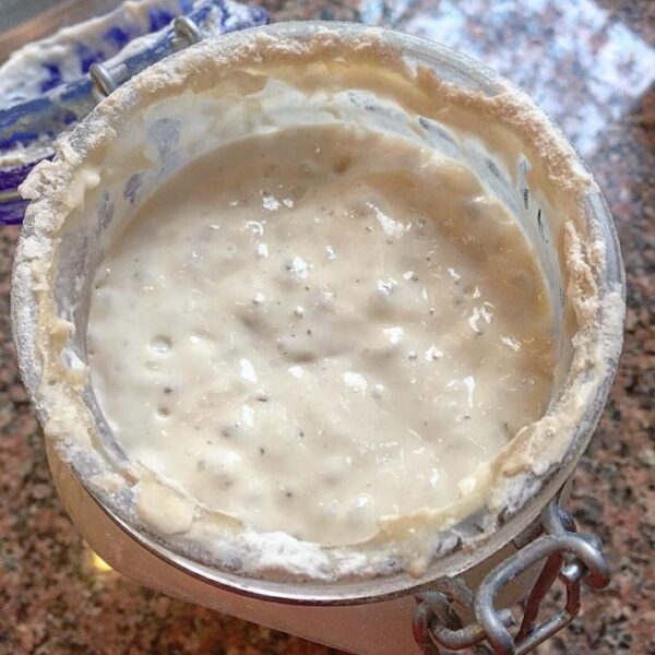 Sourdough Starter (Dry)