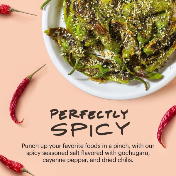 Momofuku Spicy Seasoned Salt