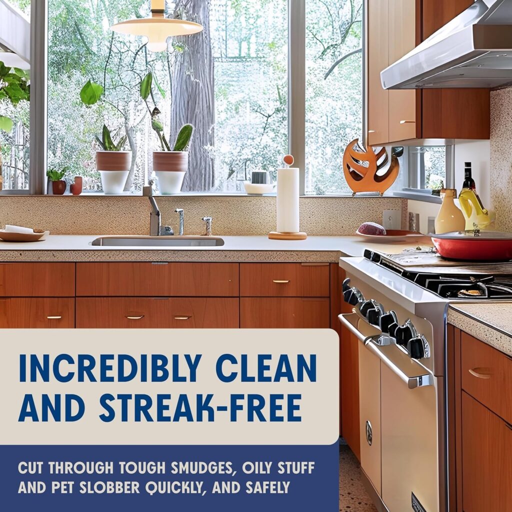 Aunt Fannie's Stainless Steel Spray Cleaner