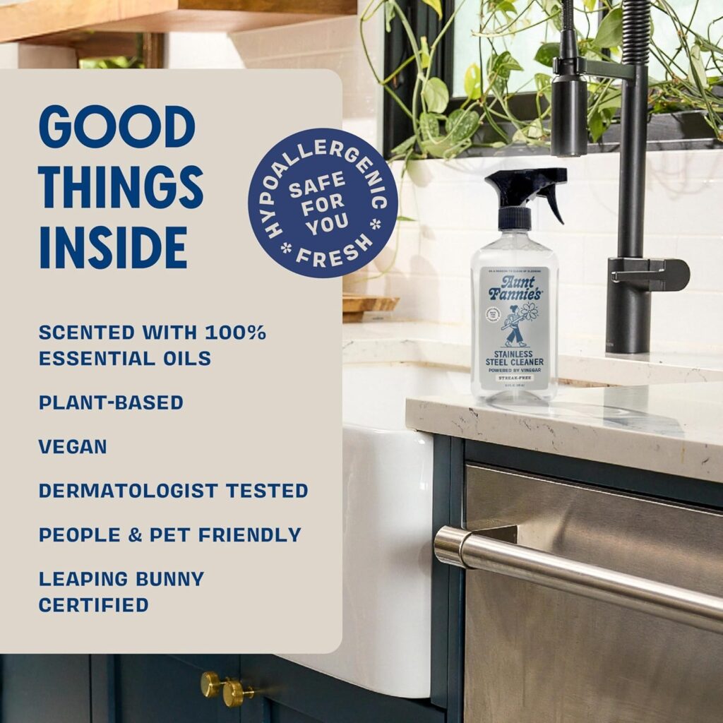 Aunt Fannie's Stainless Steel Spray Cleaner