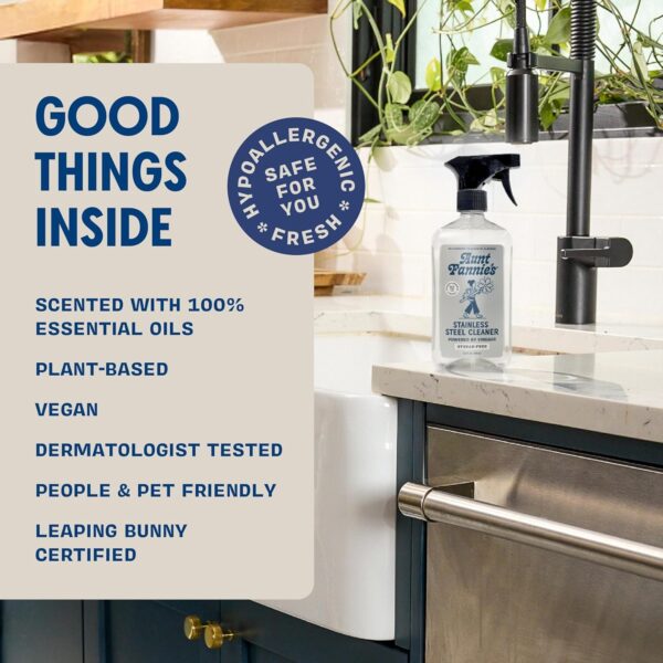 Aunt Fannie's Stainless Steel Spray Cleaner