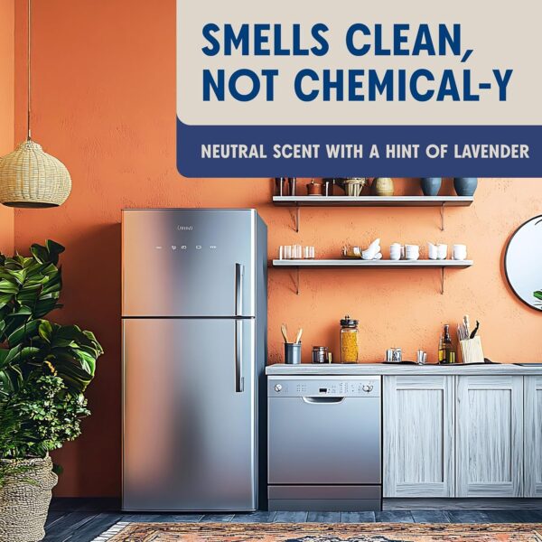 Aunt Fannie's Stainless Steel Spray Cleaner