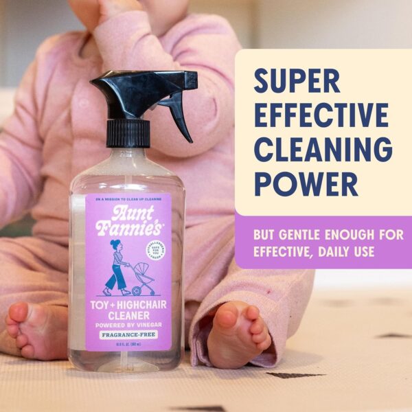 Aunt Fannie's Toy and Highchair Cleaner