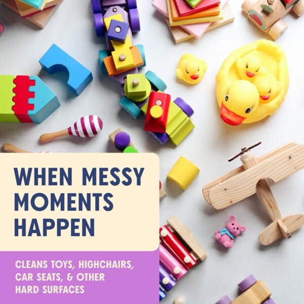 Aunt Fannie's Toy and Highchair Cleaner