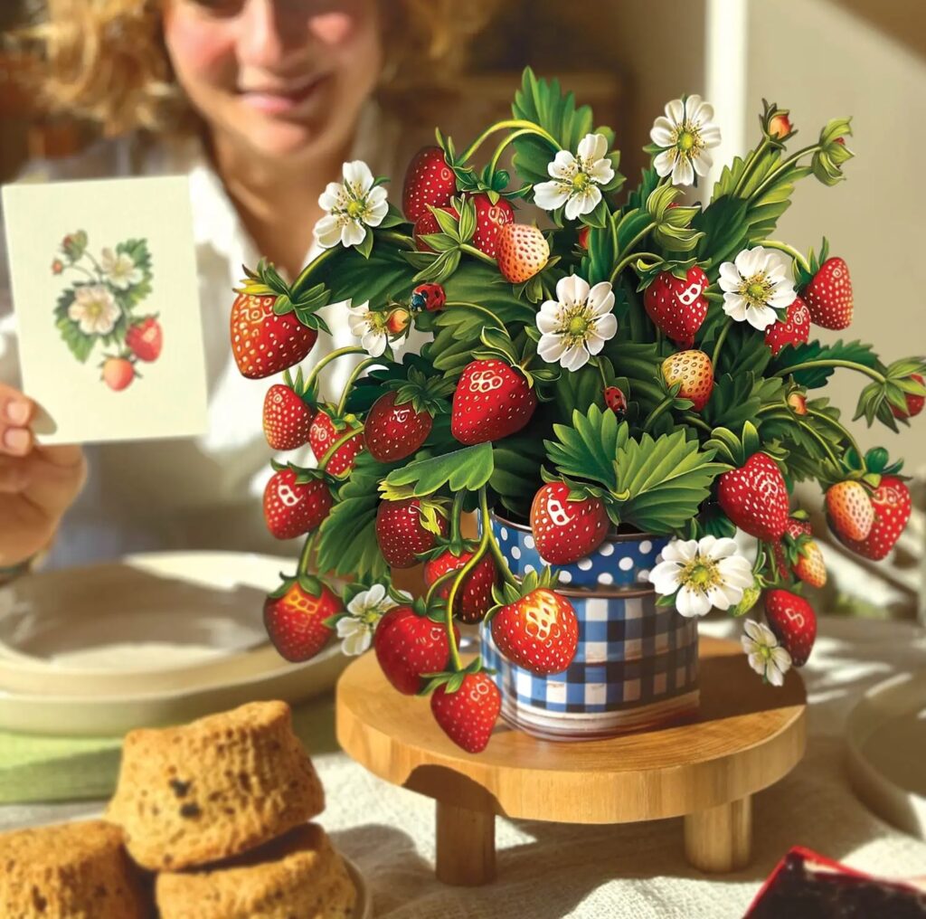 Strawberry Blossom Pop Up Card