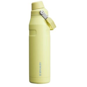 Stanley IceFlow 36oz Bottle with Fast Flow Lid - Pomelo